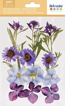 Flores prensadas Azul y Violeta Artemio