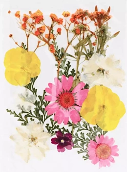 Flores prensadas Rosa y Amarillo Artemio