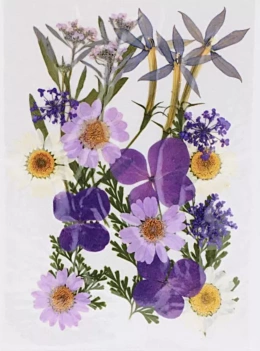 Kwiaty prasowane Artemio Violets