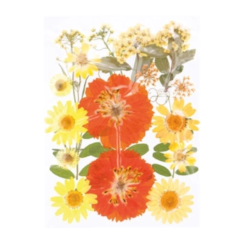 Flores prensadas Amarelo e Laranja Artemio