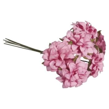 Flowers Anemone Pink Rayher