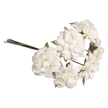 Flores Anemone Blanco Rayher