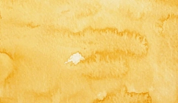 Giant Japanese watercolour Godet 44 Yellow Ochre Gansai Tambi Kuretake