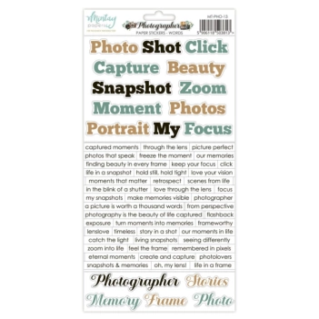Cardstock Stickers Palavras Photographer Mintay 15x30cm