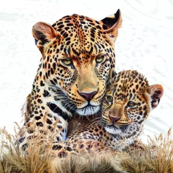 Leopard-Print Paper Napkins, 33 x 33 cm
