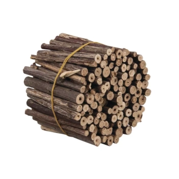 Rayher Set Natuurlijke Takjes
