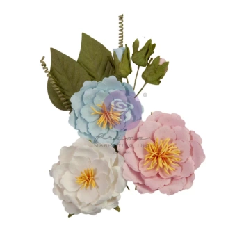 Bloemen Perfect Emotion Frans Blauw Frank García Prima