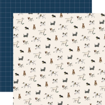 Play Fetch Best In Show Paper Carta Bella 30x30cm