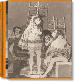 Goya Le Stampe Complete Varie Inglese