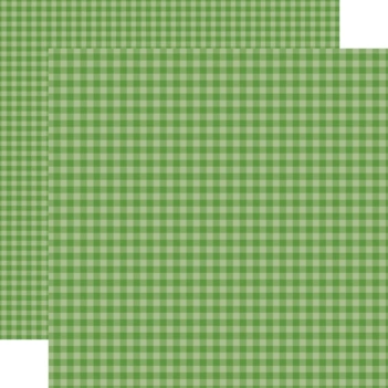 Papier Leaf Green Gingham Bold Echo Park 30x30cm