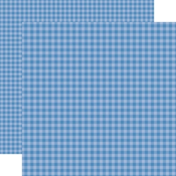 Papier Sea Gingham Bold Echo Park 30x30cm