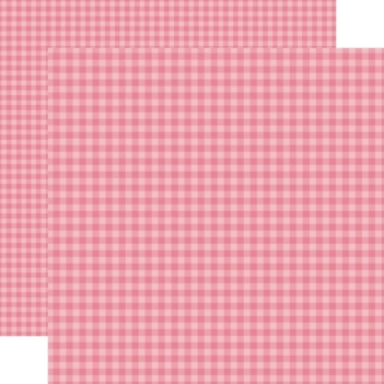 Papel Watermelon Gingham Bold Echo Park 30x30cm