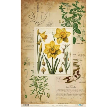 Flor de papel de arroz II Livro botânico PapersForYou 54x33cm
