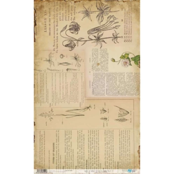 Papel de Arroz Pages IV Botanical Book PapersForYou 54x33cm