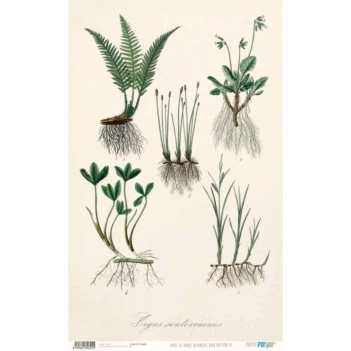 Papier de riz motif IV Livre botanique PapersForYou 54x33cm