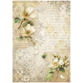Papel de arroz Camelia All Around Stamperia 21x30cm
