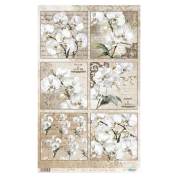 Papel de arroz White Orchid V La Vie en Fleurs PapersForYou 54x33cm