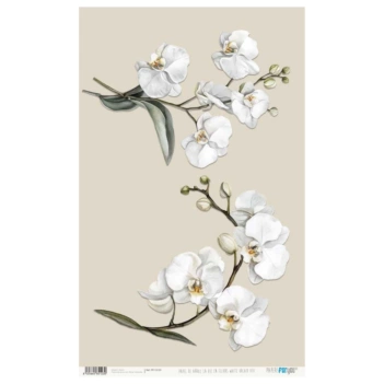 Papel de arroz White Orchid VIII La Vie en Fleurs PapersForYou 54x33cm