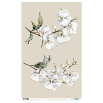 Papier ryżowy White Orchid VII La Vie en Fleurs PapersForYou 54x33cm