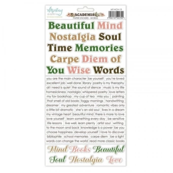 Cardstock Stickers Palabras Academia Mintay