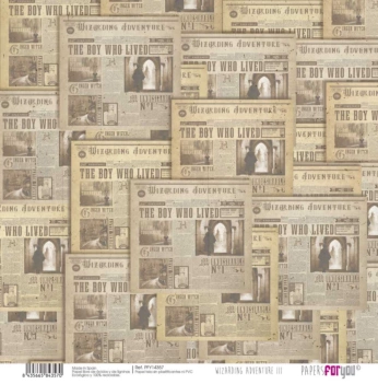 Wizarding Adventure III PapersForYou Papier journal 30x31cm