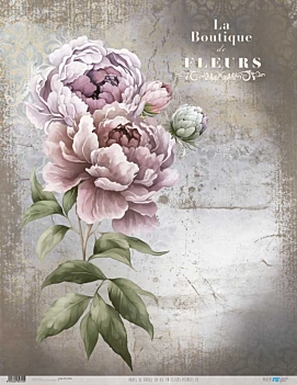 Papier de riz Peonies III 54x70cm La Vie en Fleurs  PapersForYou