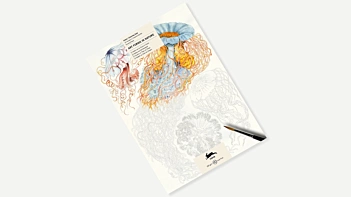 Art Forms in Nature coloring book The Pepin Press 24x34cm