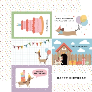 Papier 6"x4" Journaling Cards Party Animal Echo Park 30x30cm