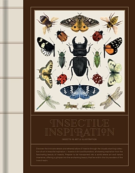 Ispirazione insettile Insetti nell'arte e nell'illustrazione Varie Inglese