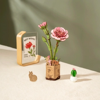 Modèle Robotime Œillet rose