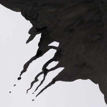Tinta de dibujo negra 30 ml. Winsor & Newton