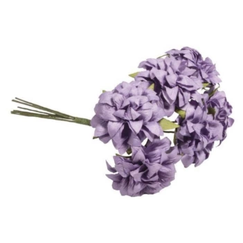 Flowers Anemone Lilac Rayher