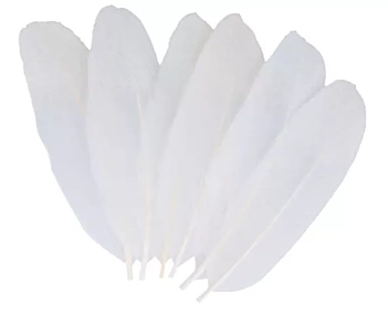 Piume con glitter Bianco Artemio