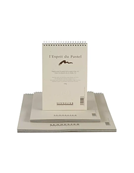 Grijs Papierblok L'Esprit du Pastel Sennelier 300g/m²