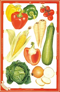 Cromos Alemanes C5011