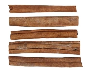 Creativ Company Cinnamon Branches