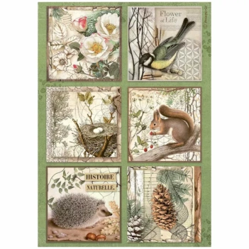 Papel de Arroz Zorro Forest Stamperia 21x30cm