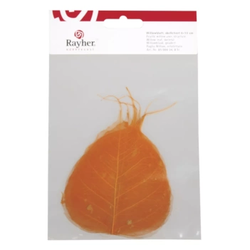 Hoja de Sauce Natural Rayher


