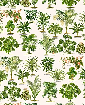 Papel Planta ornamental Tassotti