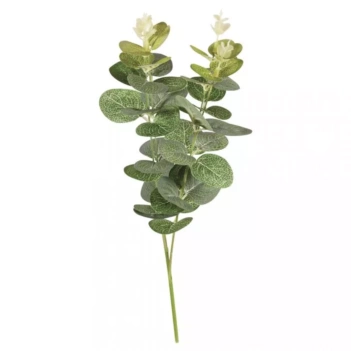 Branche d'eucalyptus artificiel Rayher