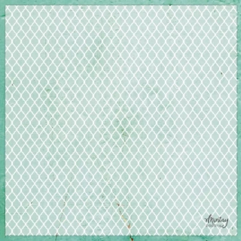 Papel Vellum Butterflies Mintay 30x30cm
