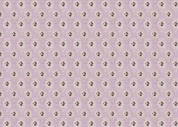 Toile de reliure Belle Époque PapersForYou 70x50cm