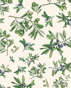 Olive Tassotti-papier