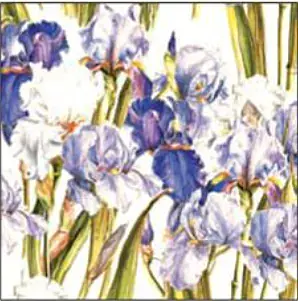 Paper Tassotti Iris
