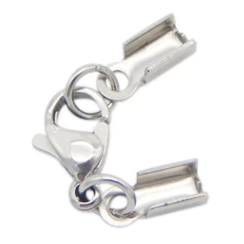Silver carabiner with claw
