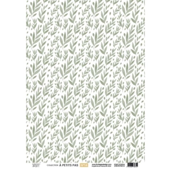 Papel Vellum 14 À Petits Pas Florilèges Design A4
