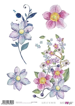 Colours of Nature PapersForYou Rice Paper, 30x21cm
