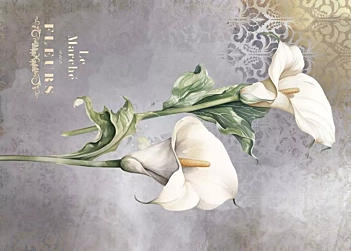 Tela de Encuadernar Calla Lily I La Vie en Fleurs PapersForYou 70x50cm