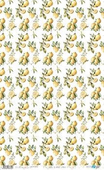 Papel de Arroz Lemon IV Fruits Market PapersForYou 54x33cm