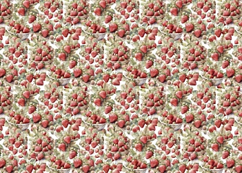 Tela de encuadernar Strawberry II Fruits Market PapersForYou 70x50cm